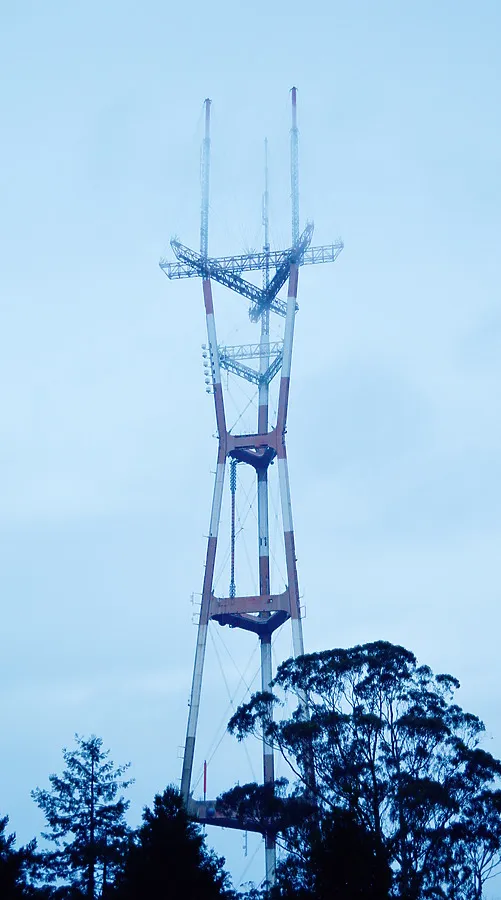 Photo 195-175-278