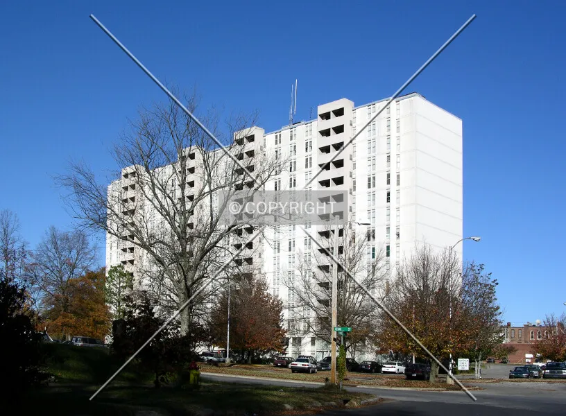 Photo 195-289-213