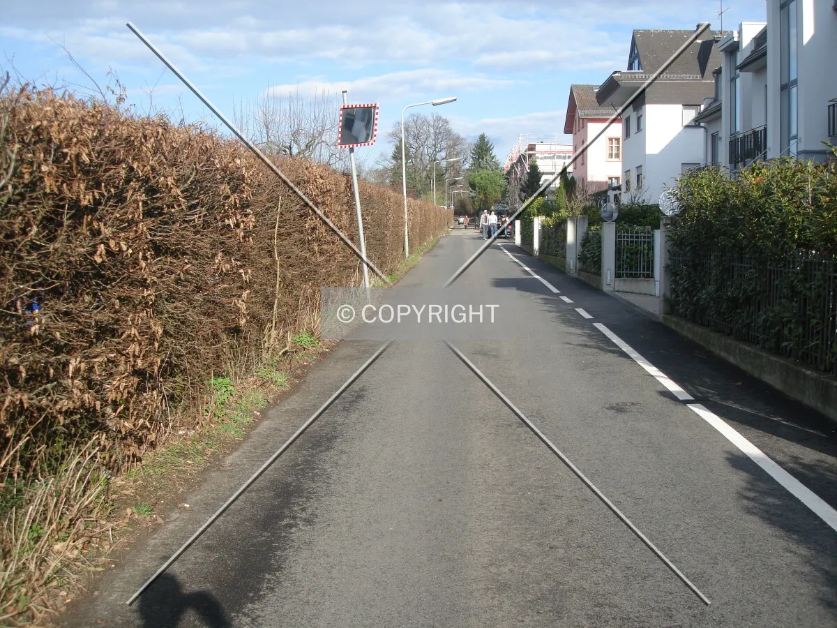 Photo 019-530-795