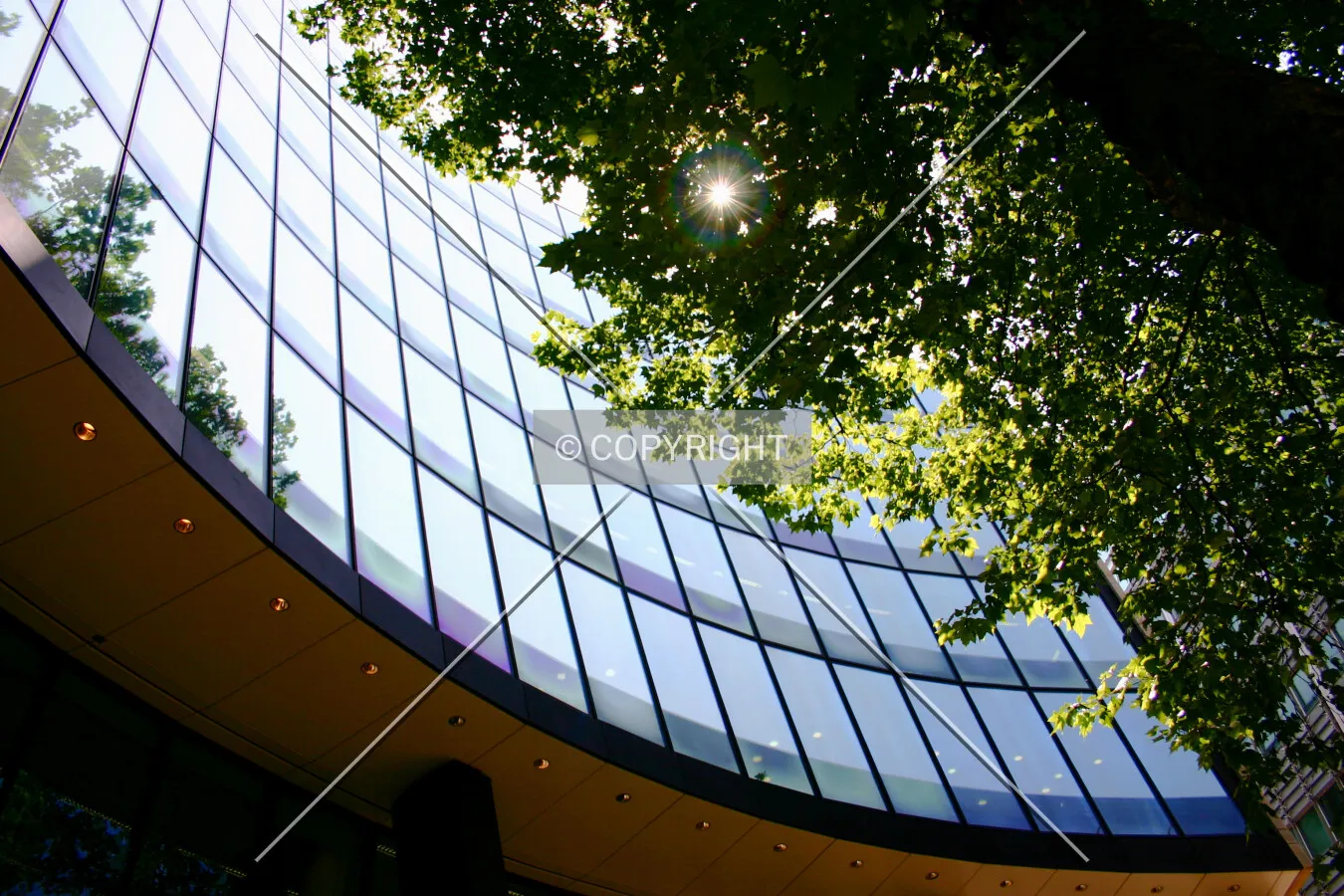 The curved rear façade
