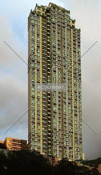 Photo 195-842-877