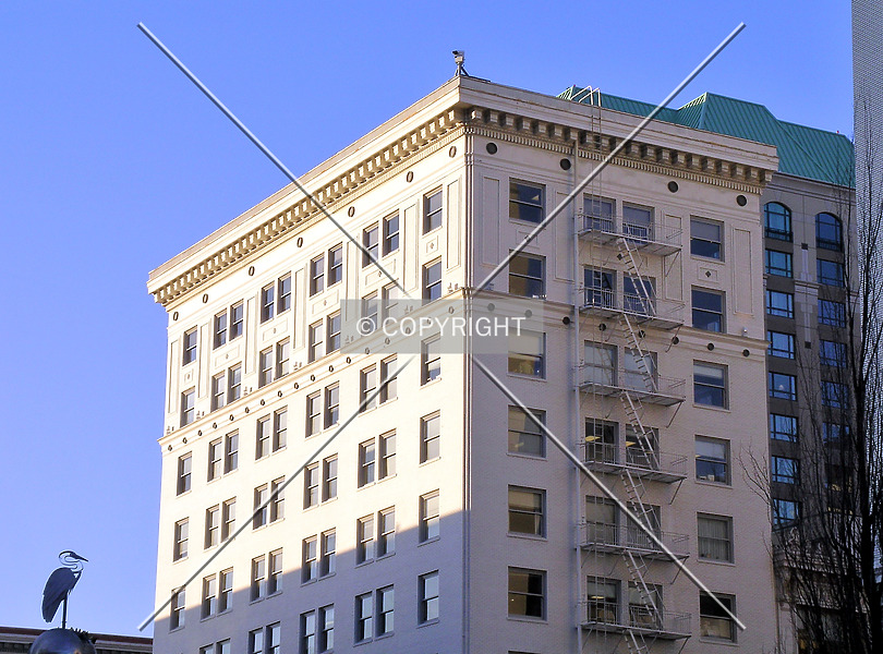 Photo 195-874-936