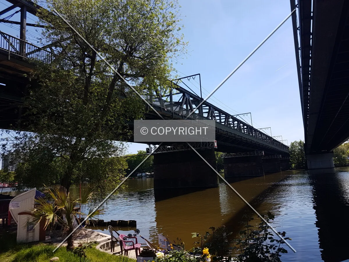 Photo 196-102-481