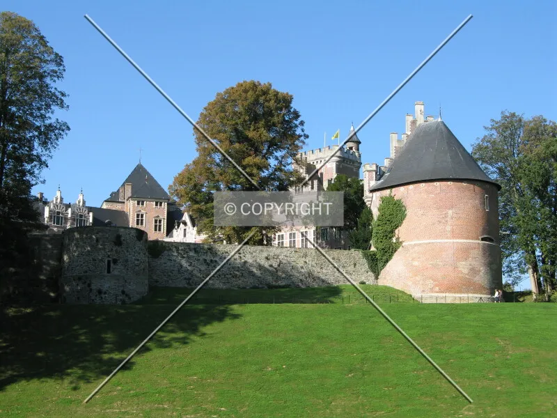 Photo 196-353-978