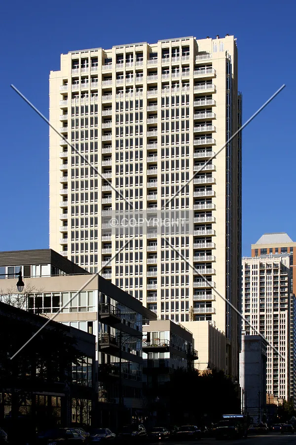 View from the south