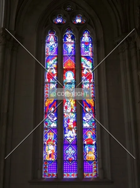 Photo 196-927-570