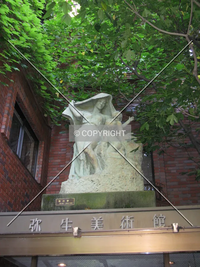 Photo 197-041-727