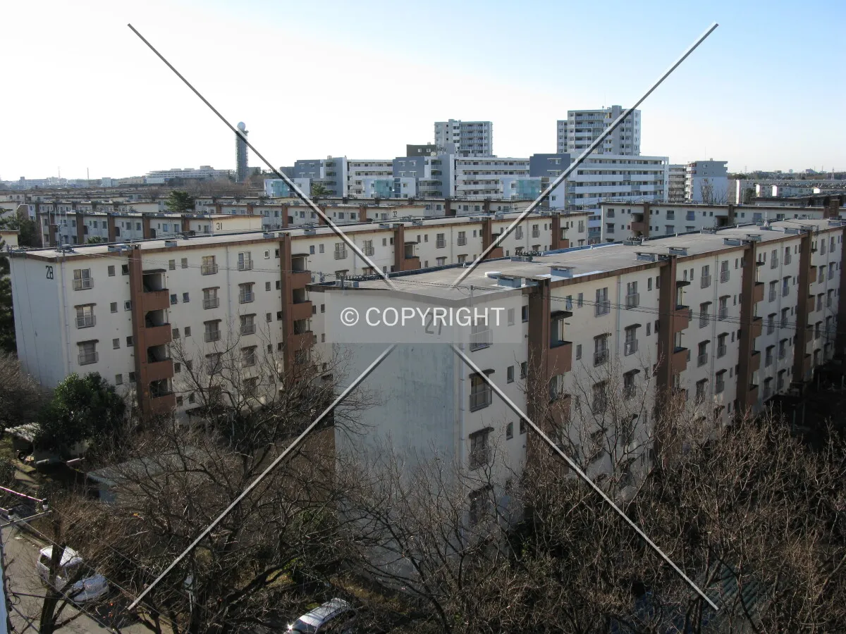 Photo 197-078-445