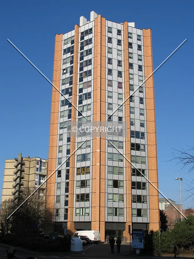 View from the south