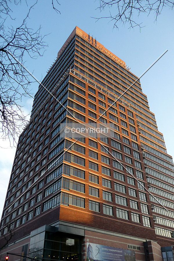 View from the northwest