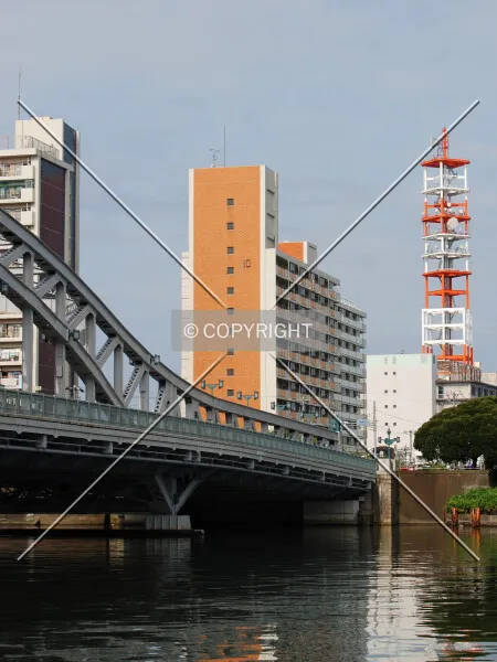 Photo 197-484-776