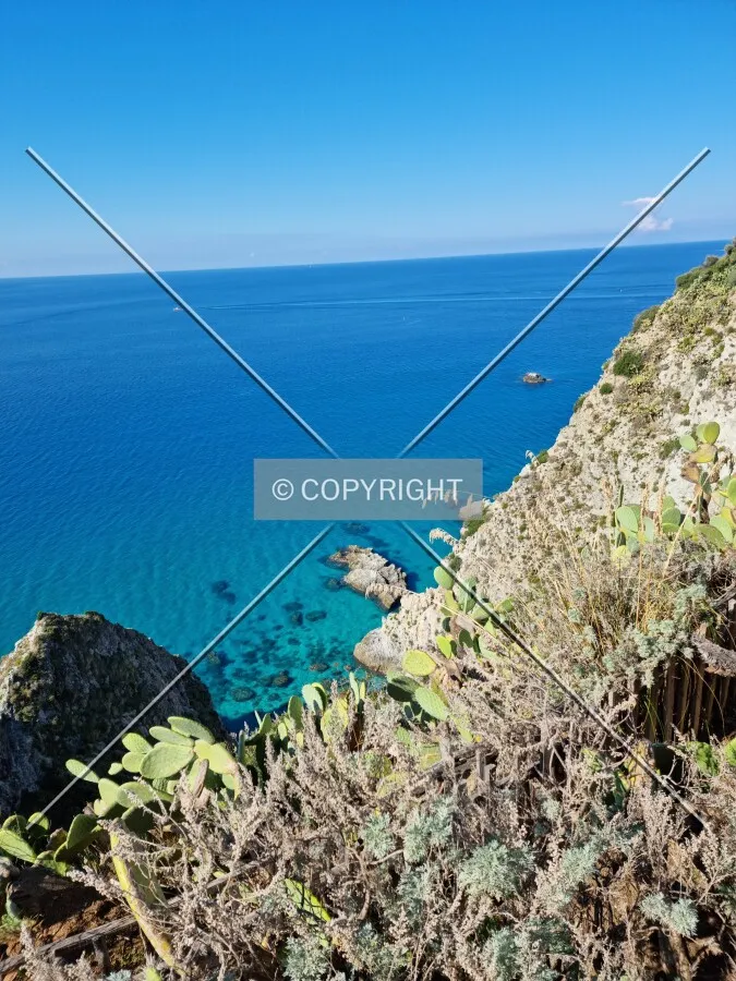 Photo 019-778-895
