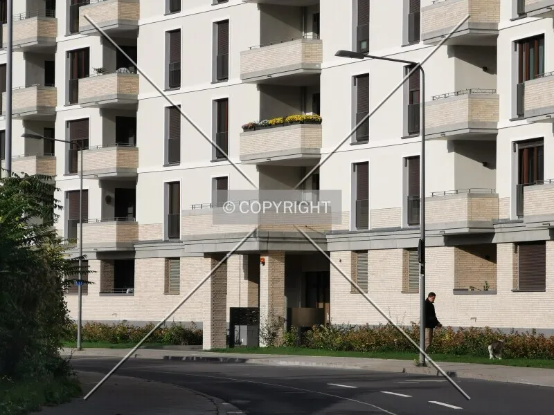 Photo 197-810-695
