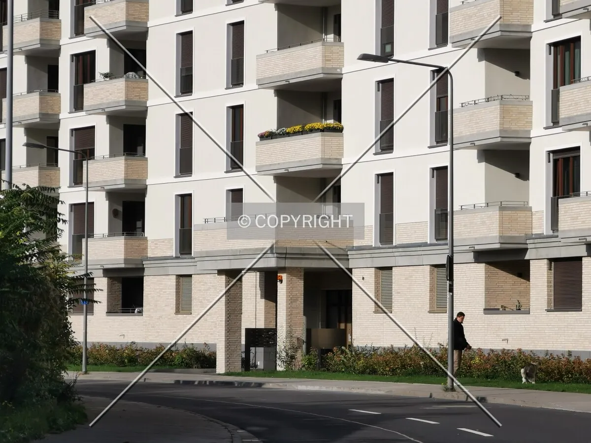 Photo 197-810-695