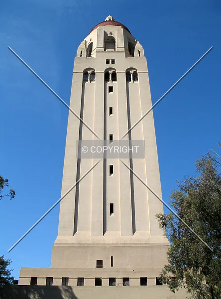 Photo 019-854-871