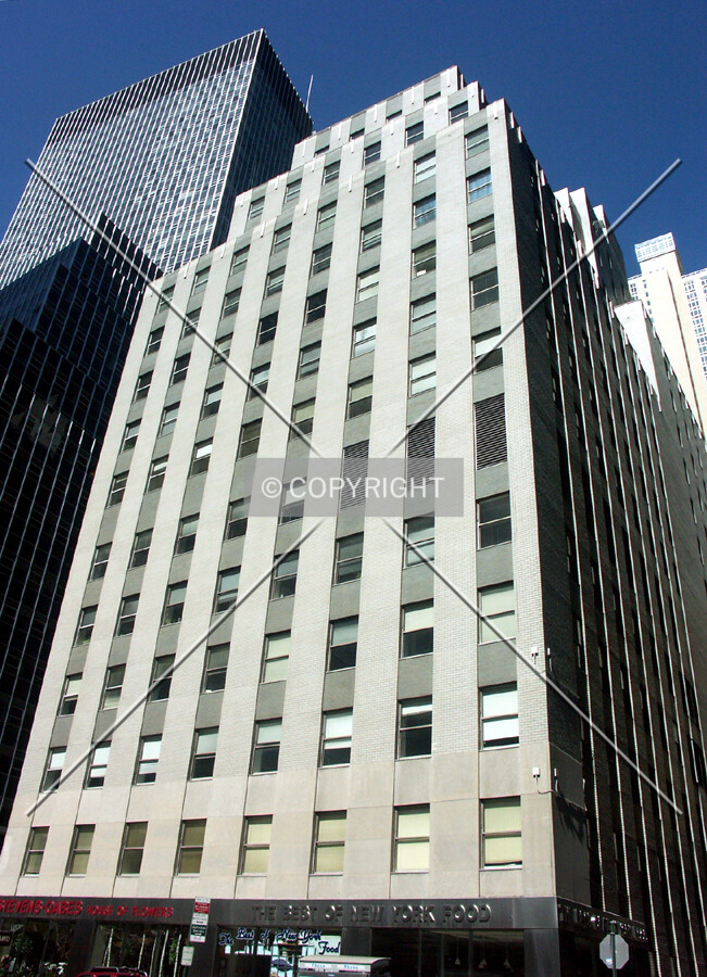 View from the east