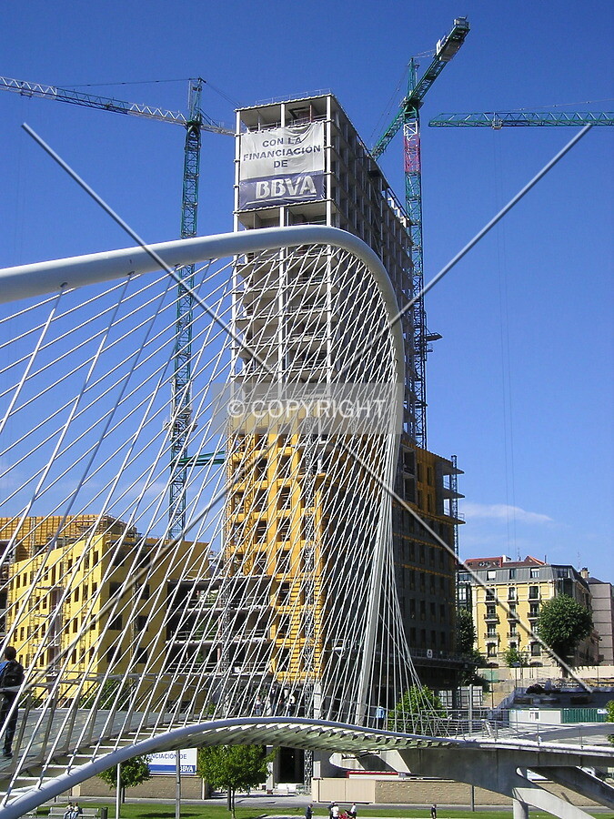 View with the Calatrava bridge in between