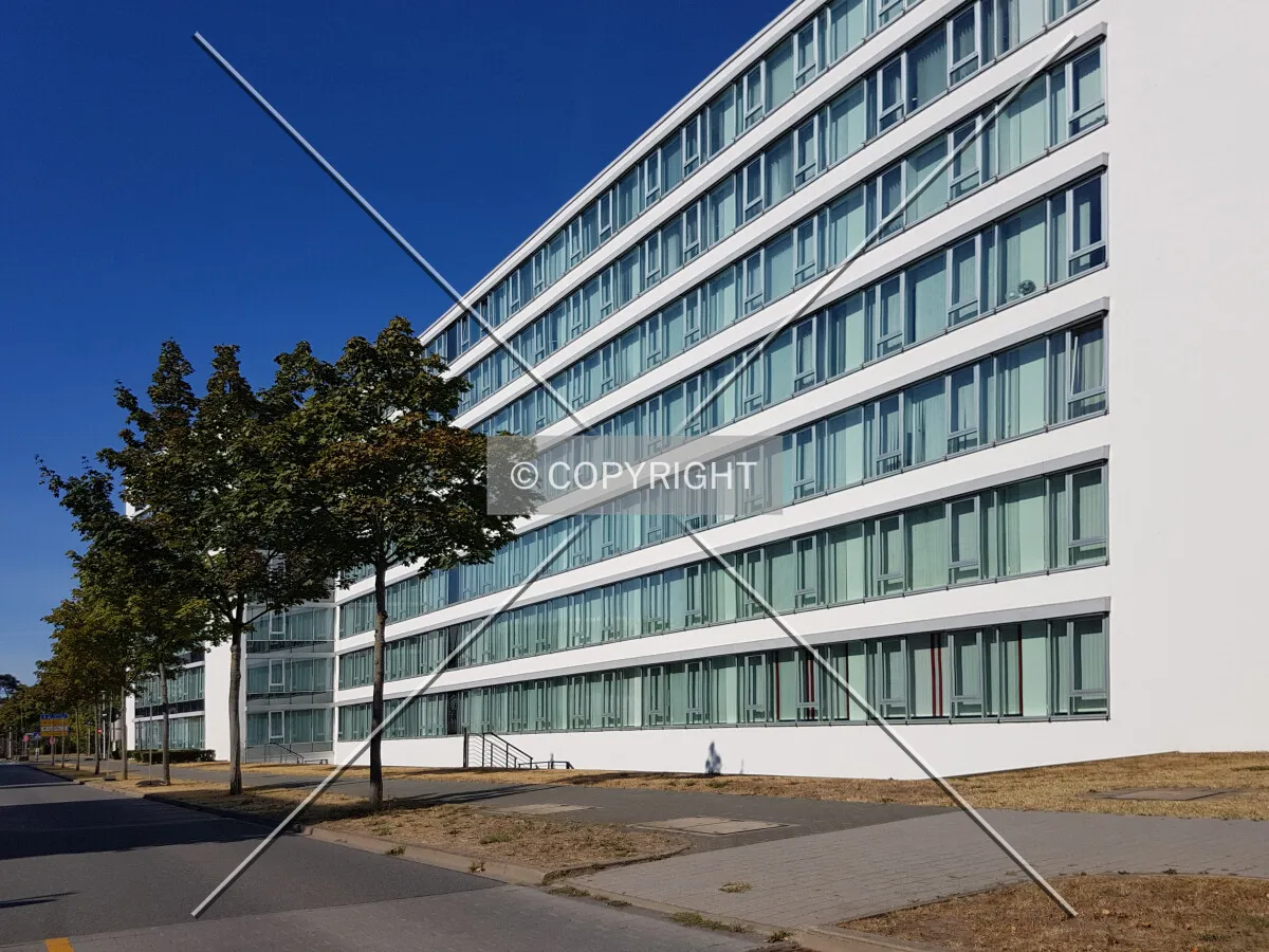 Photo 198-687-679