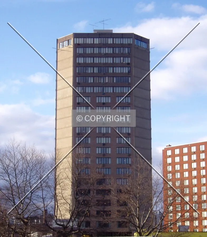 Photo 198-711-851