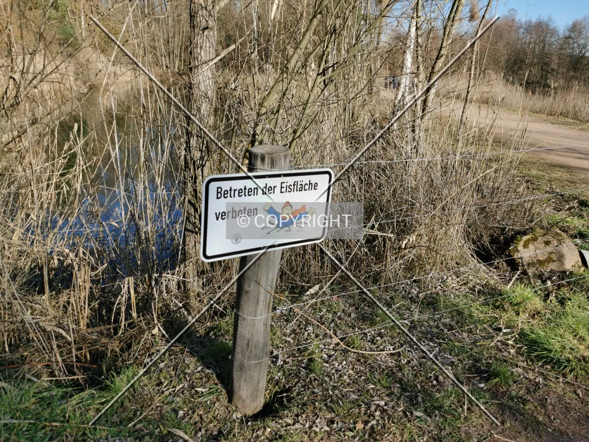 Photo 198-751-732