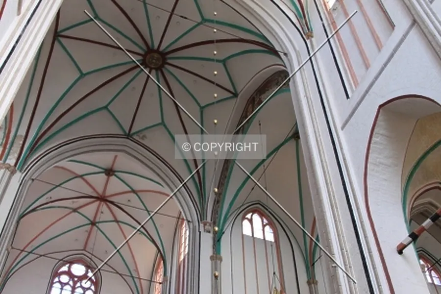 Photo 199-207-707