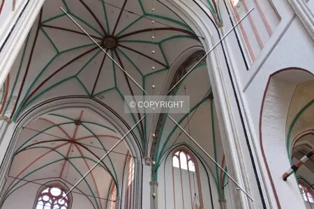 Photo 199-207-707