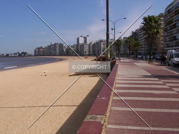 The beach at Pocitos