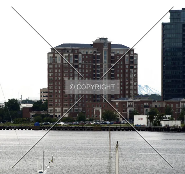 Photo 199-398-895