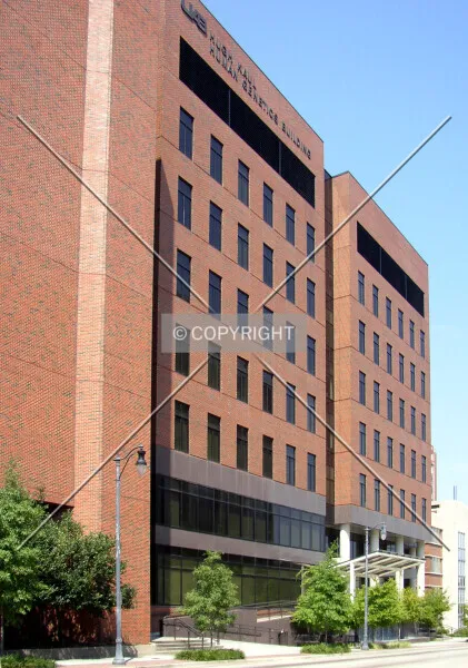 Photo 199-463-661
