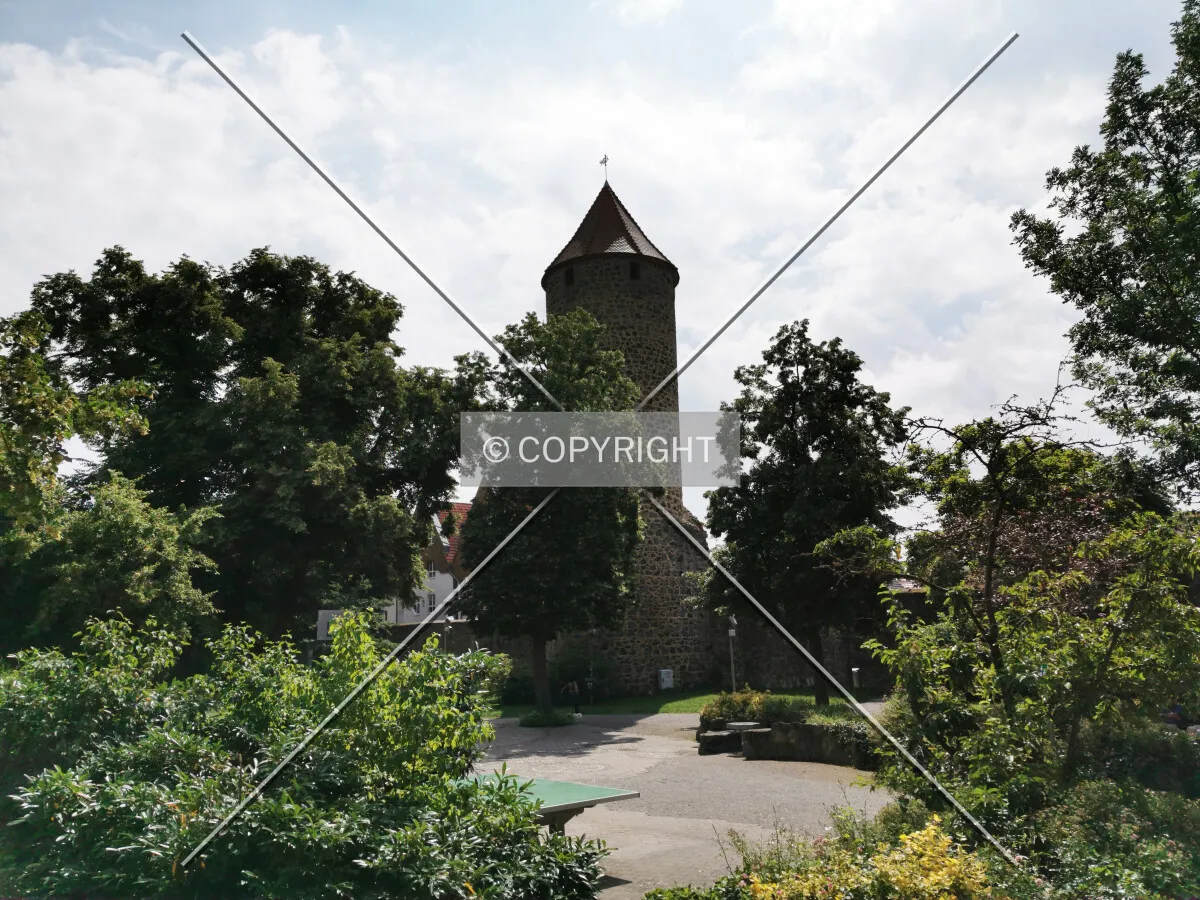 Photo 019-986-649