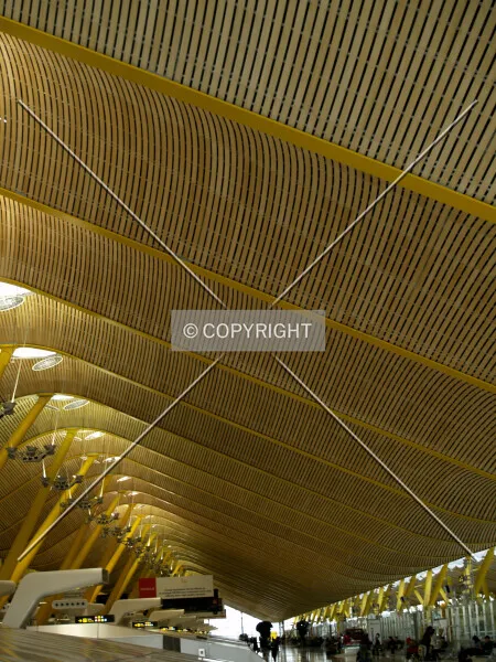 Photo 200-102-877