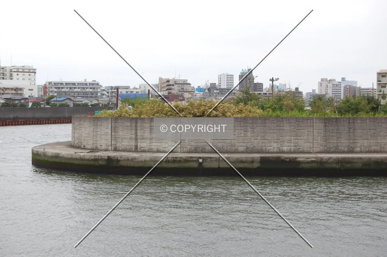 Photo 200-171-983