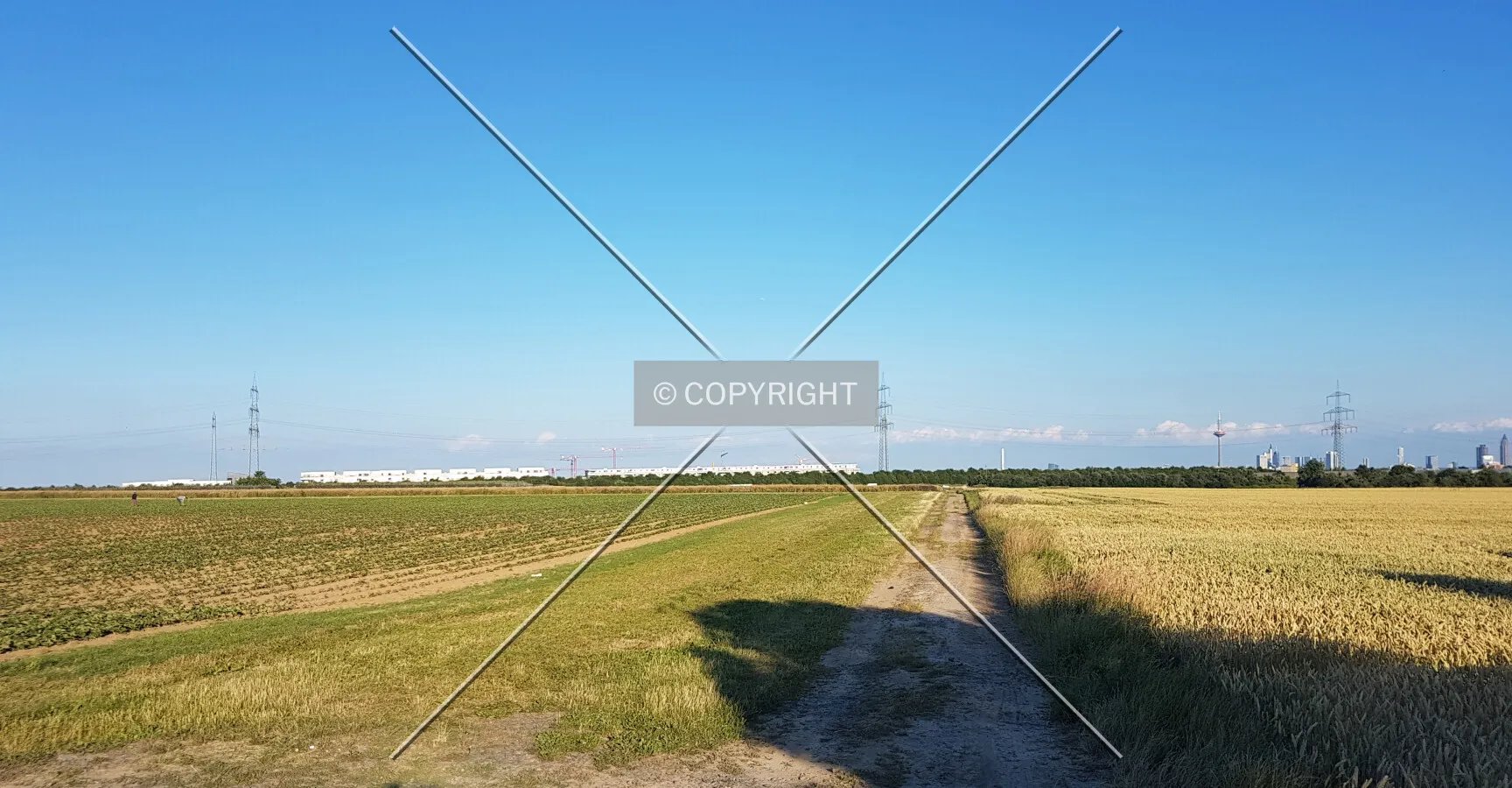 Photo 200-283-305