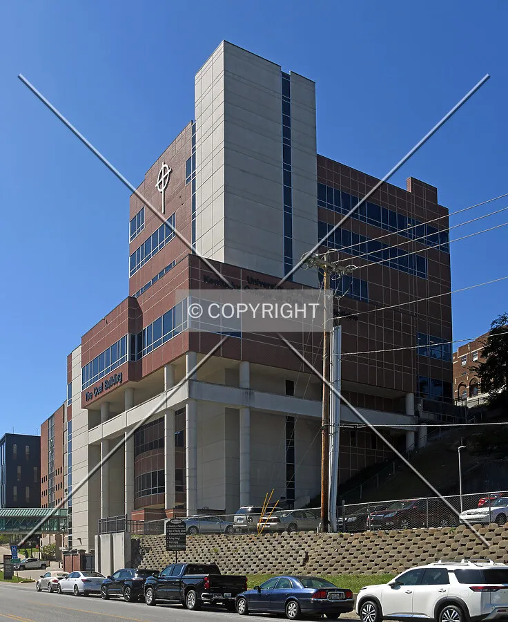 View from the northeast