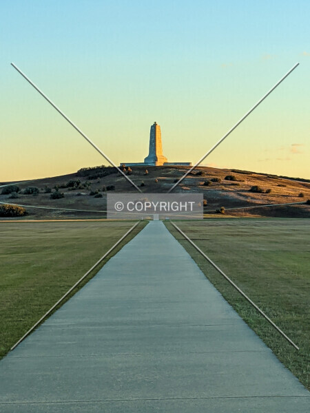 Photo 200-503-262