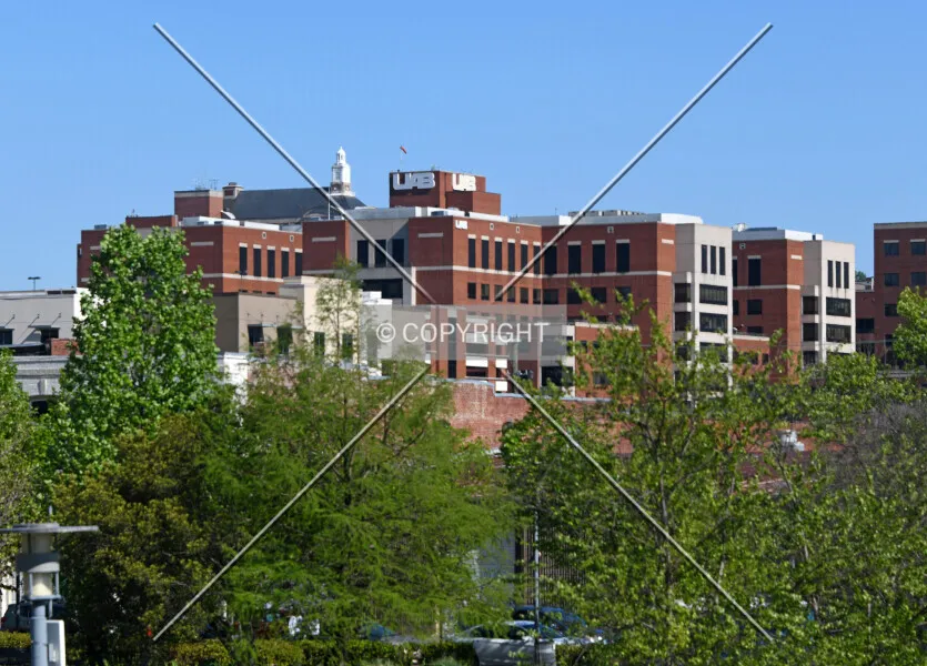 Photo 020-080-665
