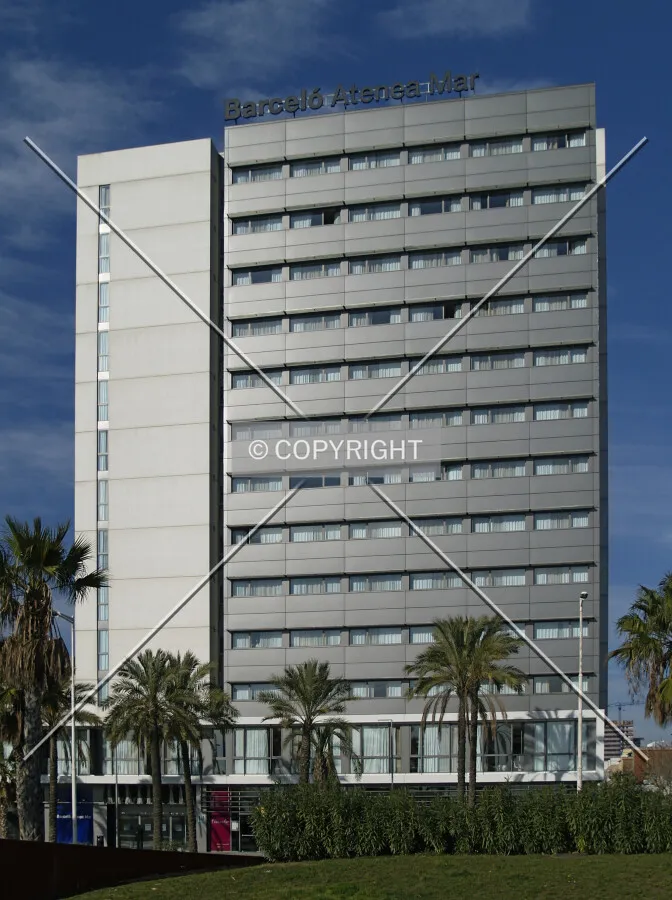 View from the southeast