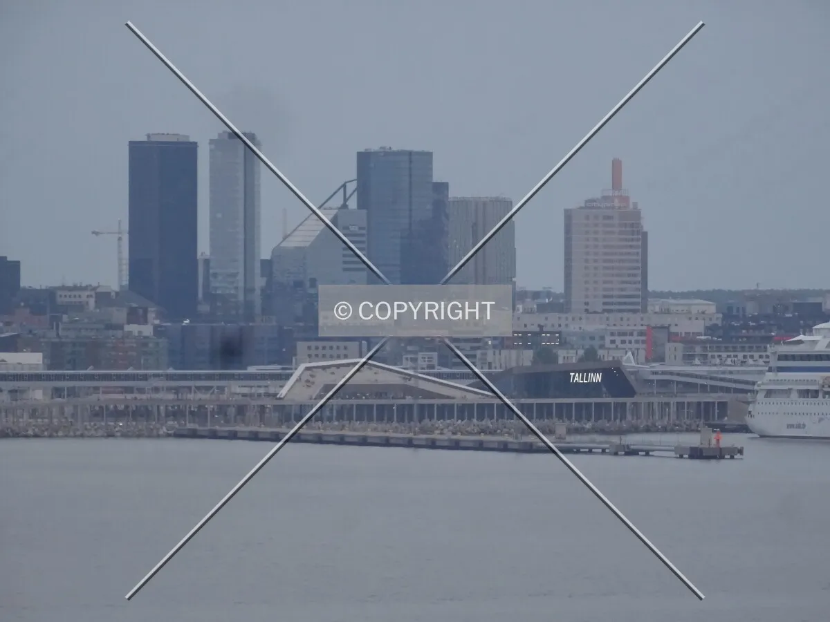 Photo 201-217-326