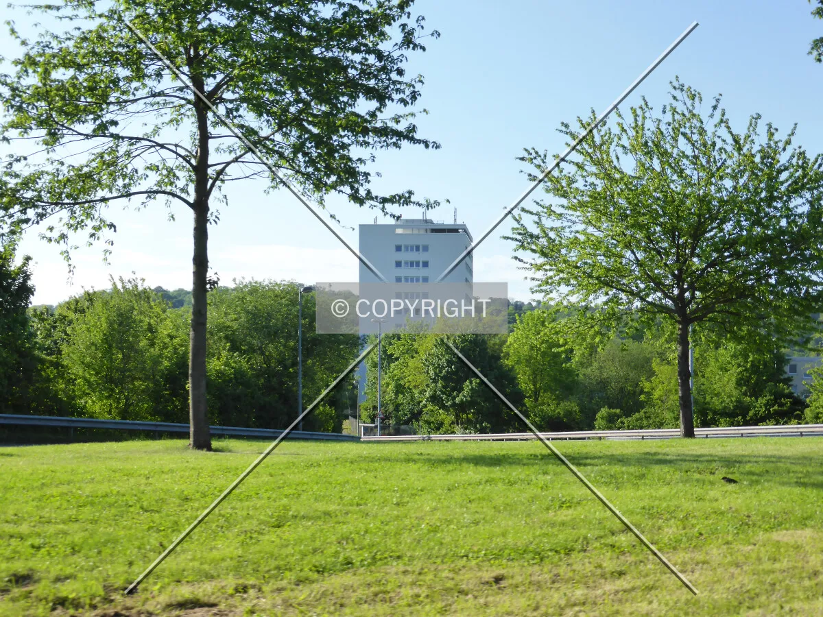 Photo 201-543-851