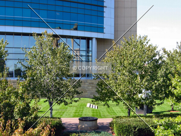 Landscaping along Hennepin Avenue