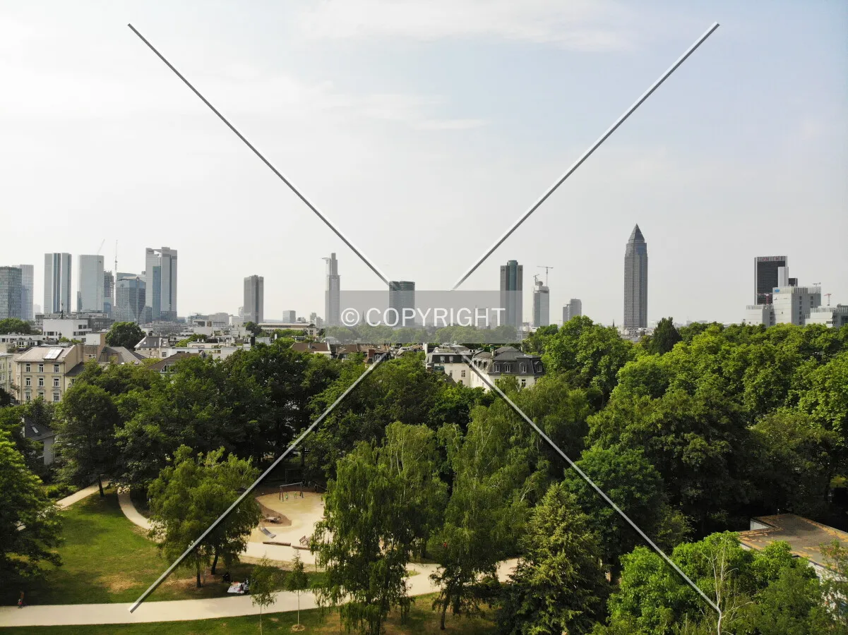 Panorama view over Frankfurt, Germany
