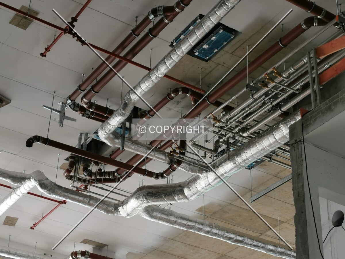 Photo 020-171-982