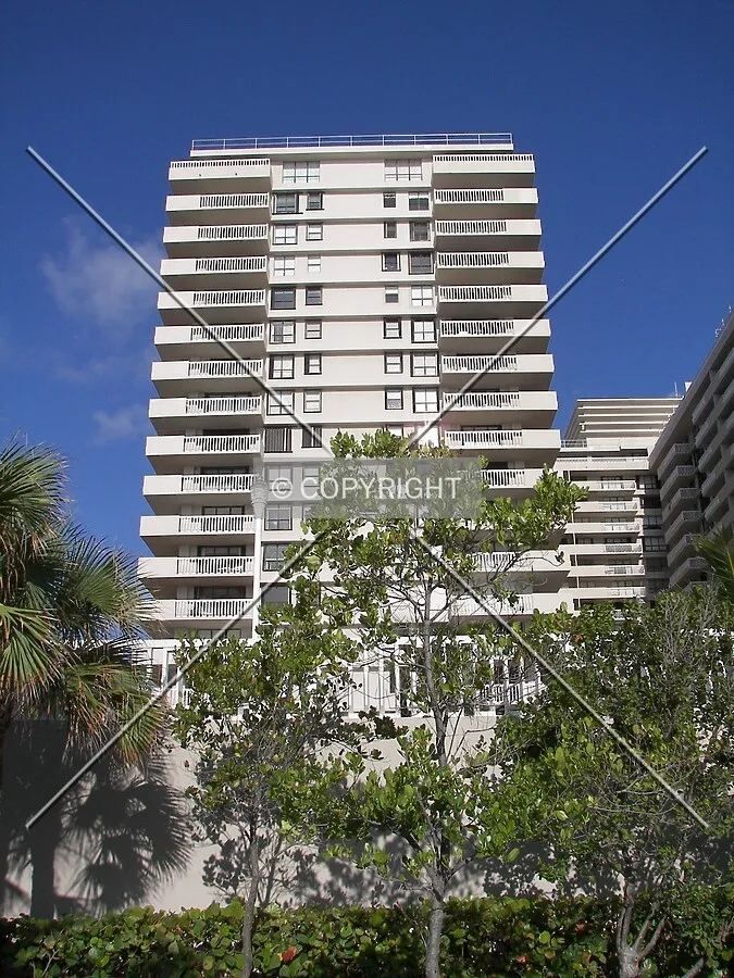 View from the east