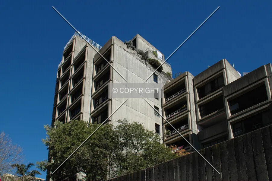 Photo 202-244-244