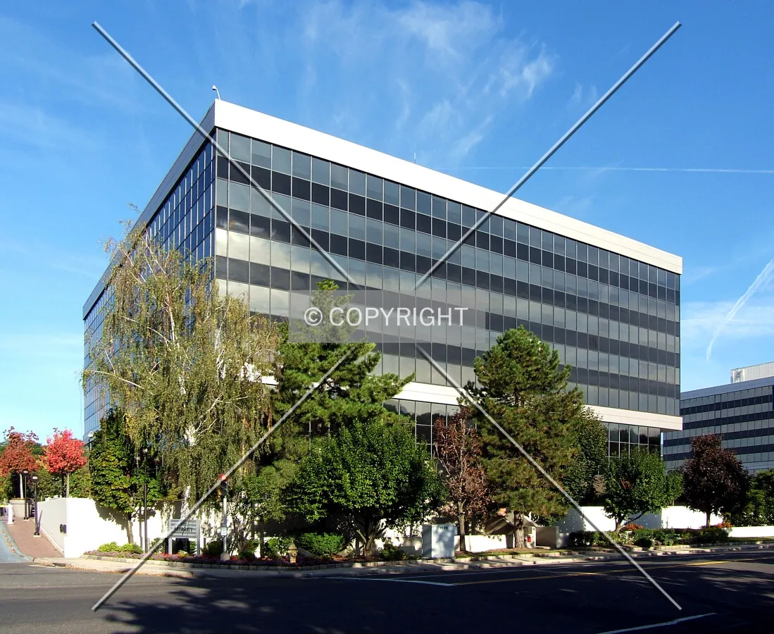 View from the southeast