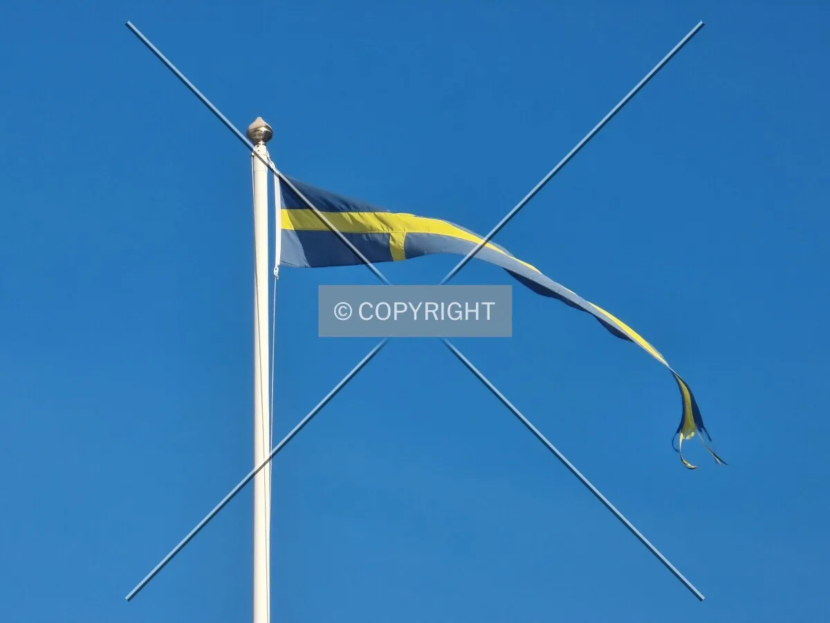 Swedish flag
