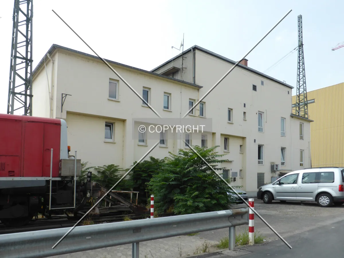 Photo 203-061-256