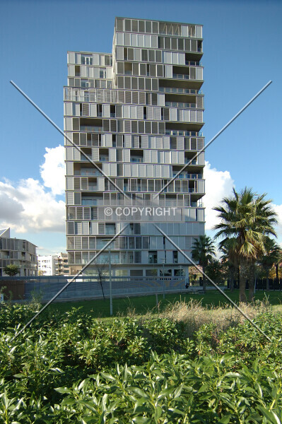 Photo 203-099-893