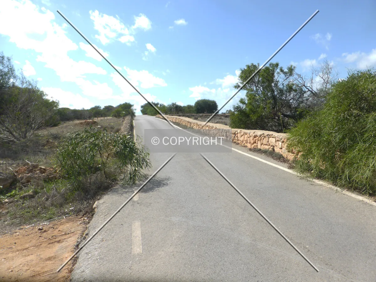 Photo 203-319-998