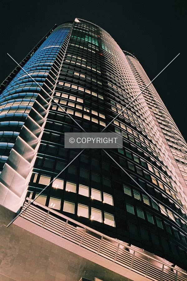 Photo 203-343-158